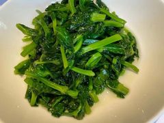 五粮液嫩豆苗-玫瑰厅上海菜(兴国路店)