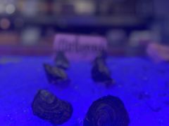 -LONG BAR 廊吧(外滩华尔道夫酒店)