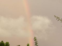 -中关村生命科学园