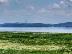 -呼兰河口湿地公园