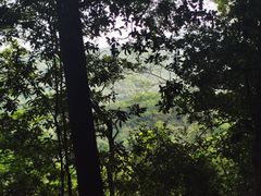 -广州市白云山风景名胜区
