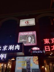 -四叶草环球旅拍