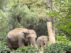 -北京野生动物园