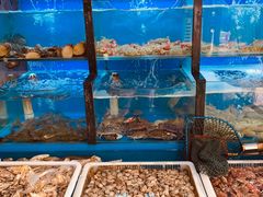 水产区-老东镇啤酒屋海鲜加工·蒸汽海鲜·海鲜烧烤(台东店)