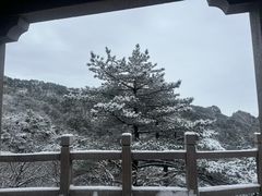 -黄山白云宾馆