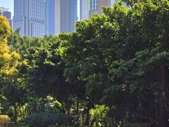 -九龙公园