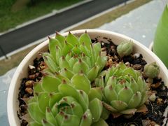 -河海大学(常州校区)