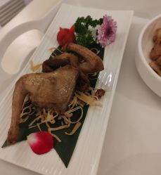 -生命加•Q考拉月子会所(玫瑰园店)