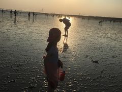 -南汇新城海滩