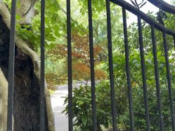 -申粤轩·丁香花园草坪宴会厅