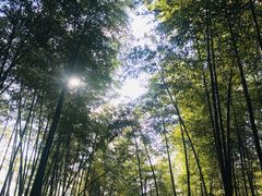 -藏龙百瀑风景区