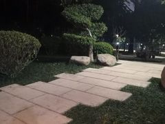 -光明港公园