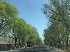 -大鹅岛灶台鱼·铁锅炖(水库路店)