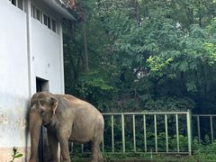 -合肥野生动物园