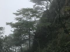 -罗田天堂寨风景区