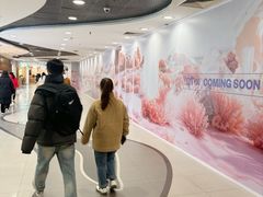 -凯德MALL(西直门店)