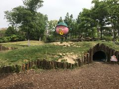 -田园东方蜜桃村的田野营地