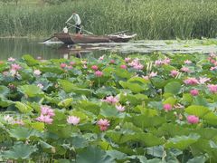 -保定东湖公园(莲池区)