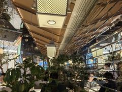 -桂满陇·海市蜃楼·黑金(国金店)