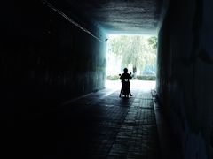-飞来湖湿地公园