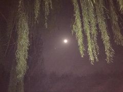 -白洋淀景区