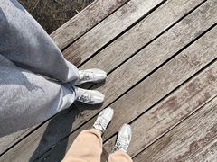 -长田漾湿地公园