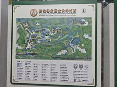 -野象谷景区