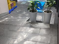 -鸡毛店·川菜(李家沱店)