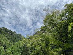 -秦岭终南山世界地质公园翠华山景区