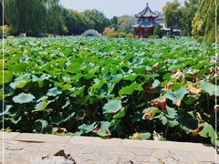 -莲池书院博物馆