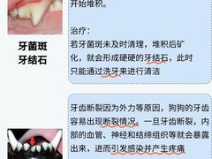 -申普宠物医院·心脏介入·心血管微创(总院)