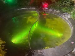 -杭州第一世界大酒店·云曼温泉