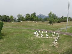-桂溪生态公园