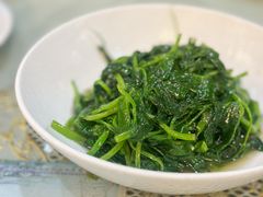 -新聚丰菜馆(太监弄店)