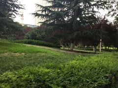 -陕西自然博物馆