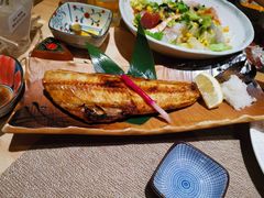 -琴寿司居酒屋(中山广场店)