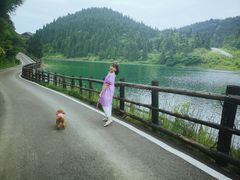 -武陵山森林公园