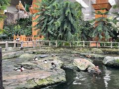 -南宫五洲植物乐园