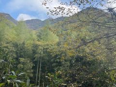 -众神白水涧景区