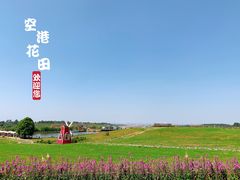 -空港花田景区