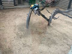 -石家庄市动物园