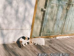 -秘密小花园(第三中学店)