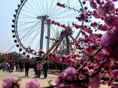 -北京石景山游乐园