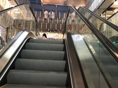 -三里屯东五街银杏大道