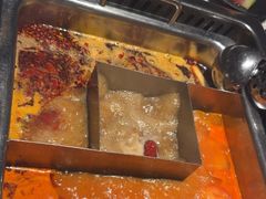 -鼎膳常火锅(华阳店)