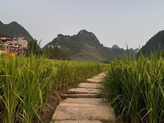 -靖西鹅泉风景区