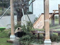 -无锡动物园·太湖欢乐园
