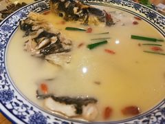 奶汤鱼头-馬蘭花開(车站大道店)