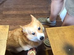 -Oasis coffee燕谷咖啡(公信店)