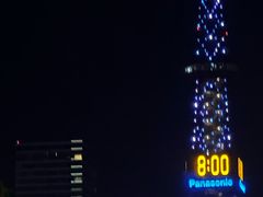 -大通公园